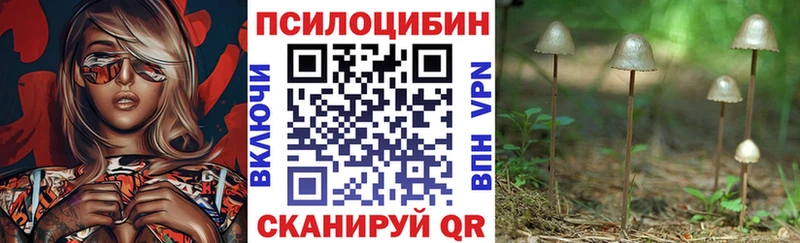 Купить где  Горно-Алтайск  Галлюциногенные грибы Magic Shrooms 